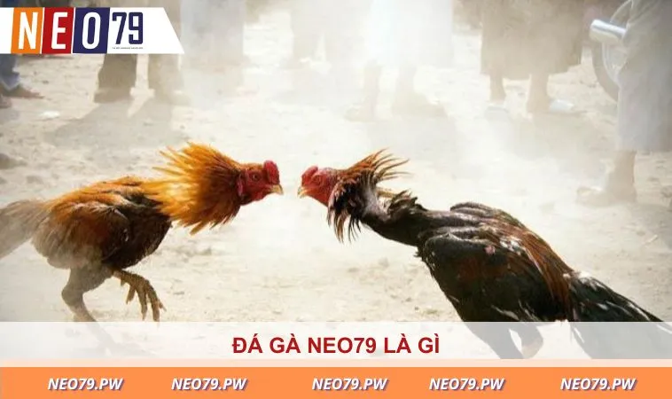 Giới thiệu chuyên mục cá cược đá gà NEO79 là như thế nào